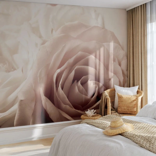 Papel de Parede Premium Canvas - No coração de uma rosa - Rosas, Flores, Romântico - 500x350 cm