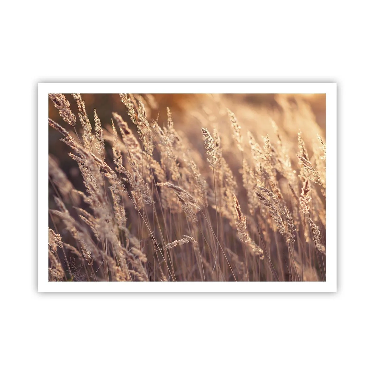 Pôster - Pronto para receber o outono - 100x70 cm