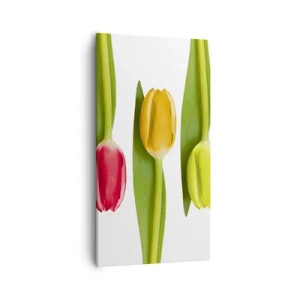 Quadro em tela - Composição arco-íris - 55x100 cm