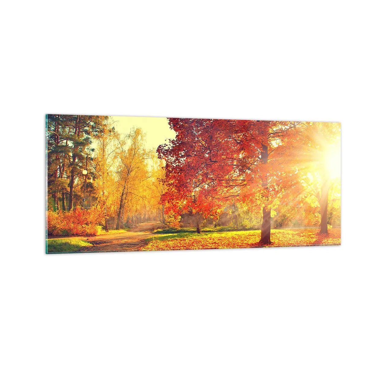 Quadro em vidro - O vermelho é lindo - 100x40 cm