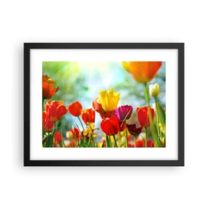 Pôster com moldura preta - Todas as cores do sol - 40x30 cm