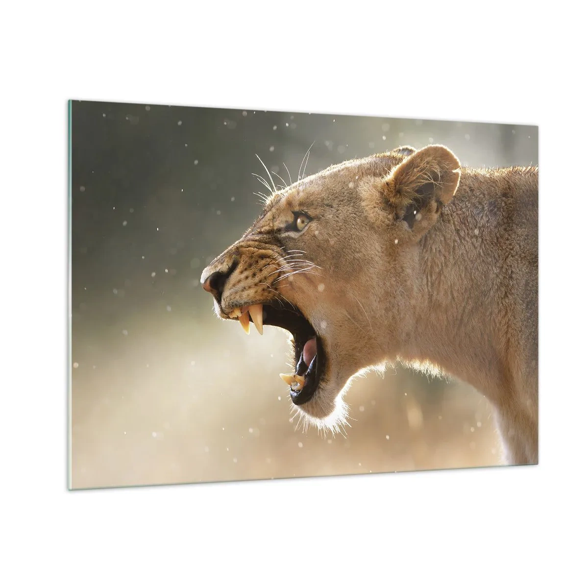 Quadro em vidro - Tente não ouvir - 100x70 cm