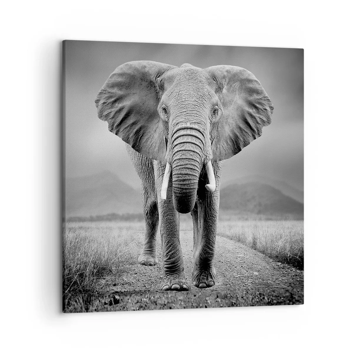 Quadro em tela - O anfitrião dá as boas-vindas - 50x50 cm