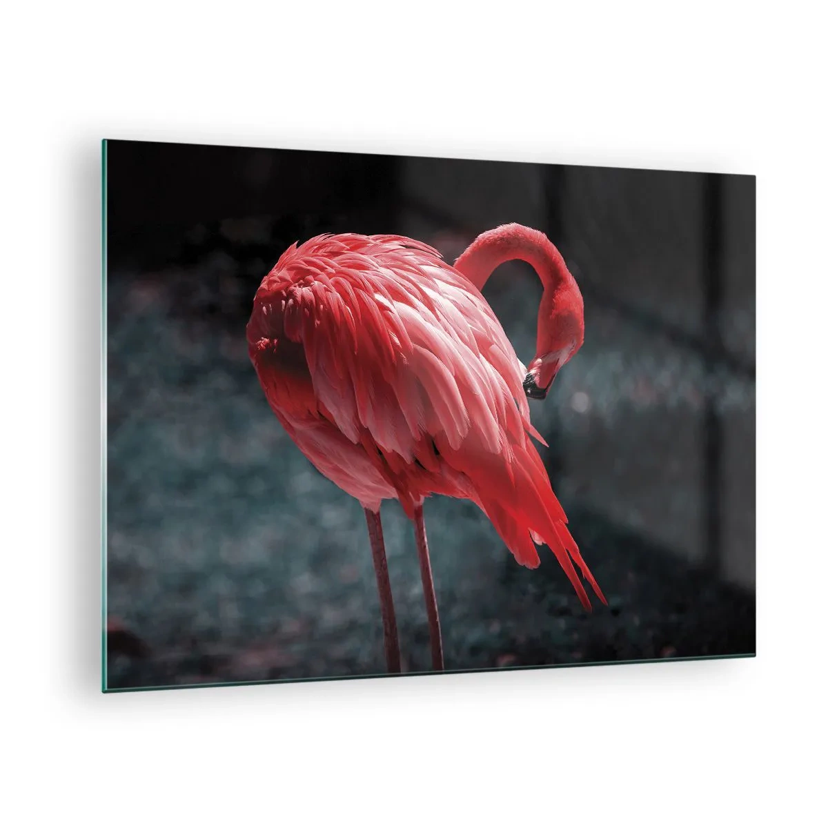 Quadro em vidro - Um flamingo em tons intensos de vermelho sobre um fundo escuro - 70x50cm - Poema carmesim da natureza - Decoração de parede moderna para a sala de estar e quarto ARTTOR