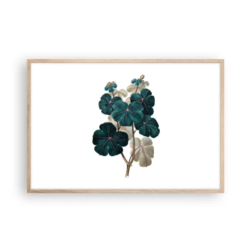 Pôster com moldura de carvalho claro - Do antigo herbário - 91x61 cm