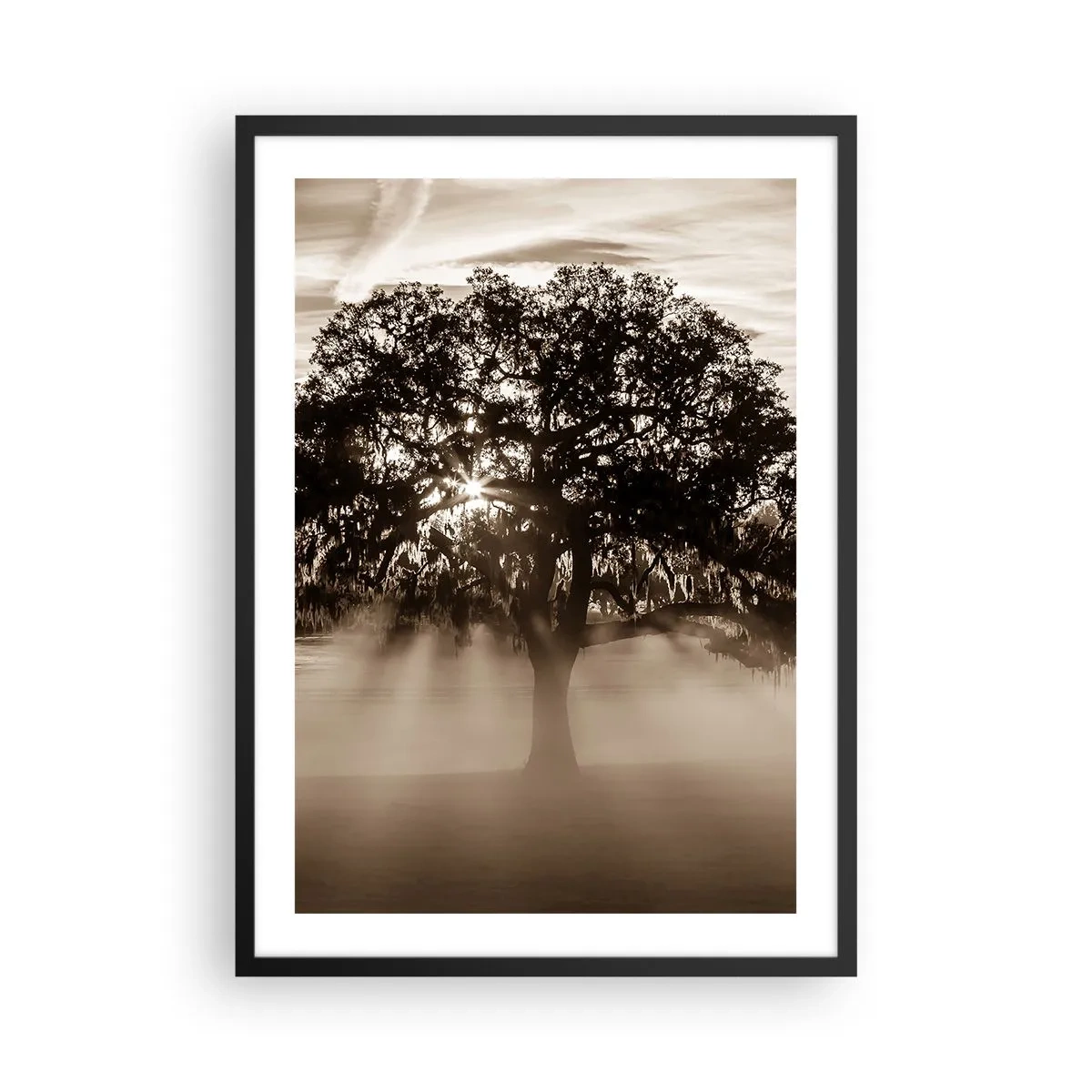 Pôster com moldura preta - Árvore na neblina com raios de luz - 50x70cm - Uma árvore só de boas notícias - Decoração de parede moderna para a sala de estar e quarto ARTTOR
