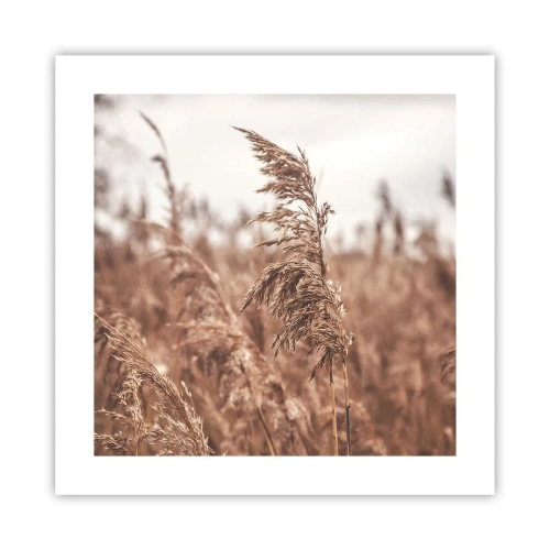 Pôster - O outono já chegou ao campo - 40x40 cm