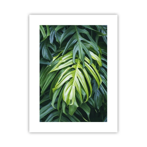 Pôster - Mergulhar no frescor - 30x40 cm