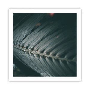 Pôster - A precisão da natureza - 60x60 cm