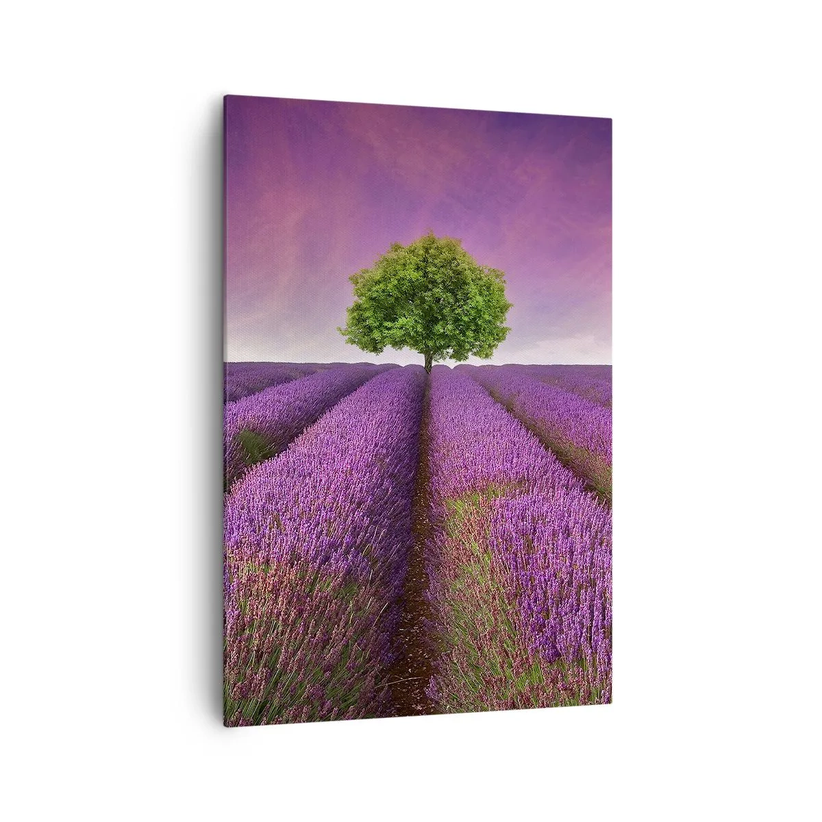 Quadro em tela - Nos campos de lavanda - 70x100 cm