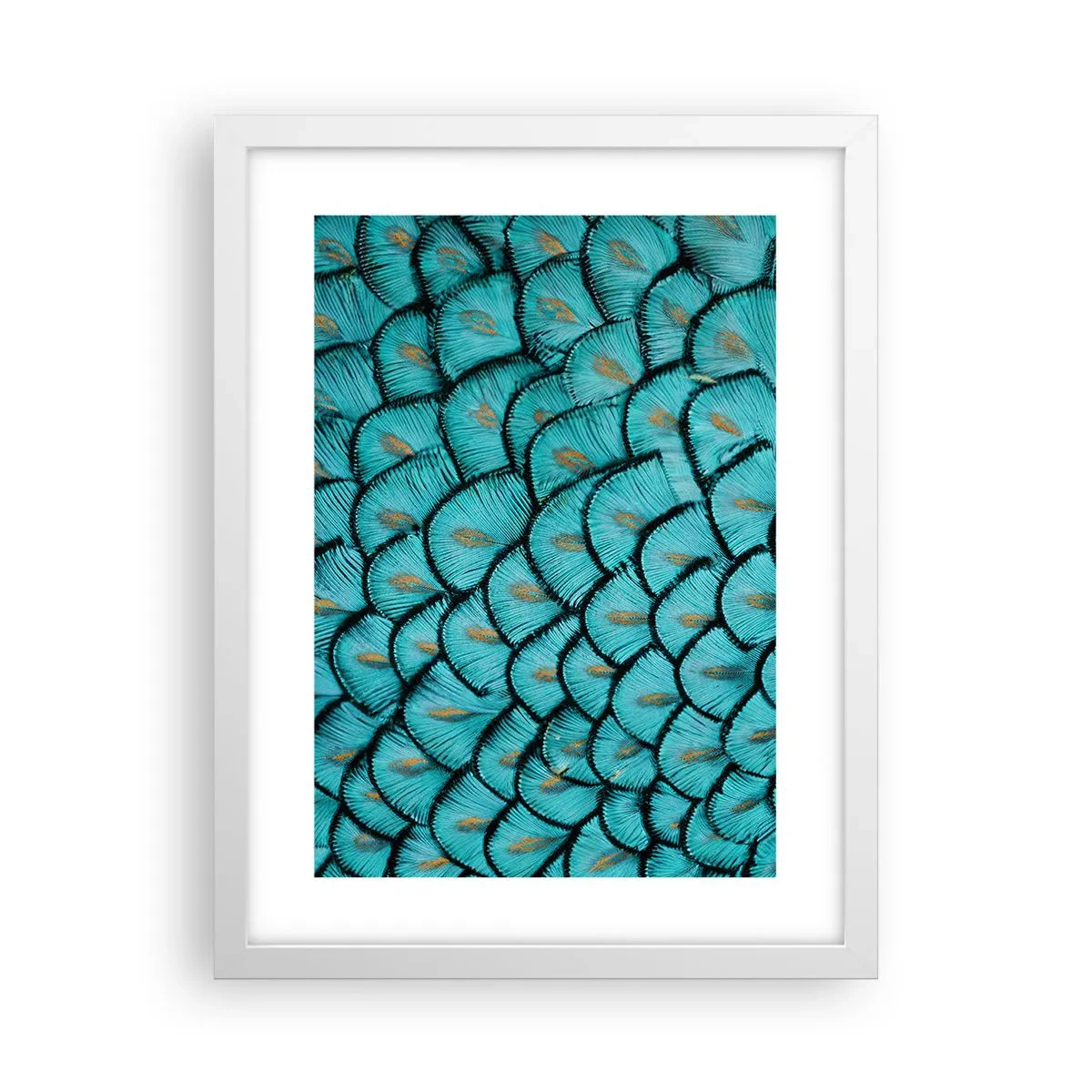 Pôster em moldura branca - A grande gala de penas - 30x40 cm