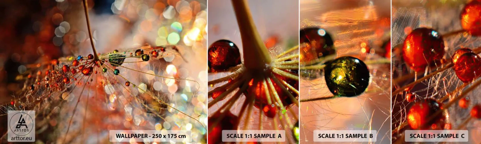 Amostra de papel de parede autocolante Deluxe Sticker - Enroscado numa teia de aranha - Abstração, teia de aranha, Pedaço - 100x30 cm