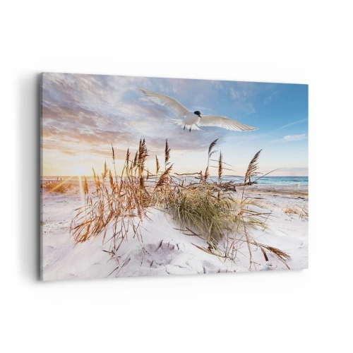 Quadro em tela - Vento do mar - 100x70 cm