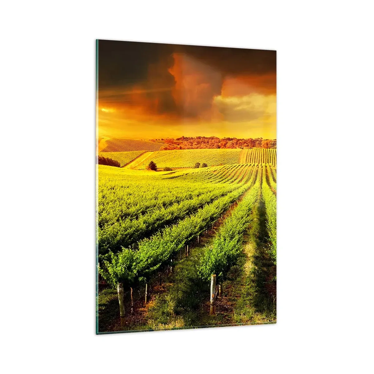 Quadro em vidro - Sob o sol australiano - 80x120 cm