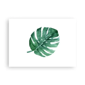 Pôster - Conceito verde - 70x50 cm