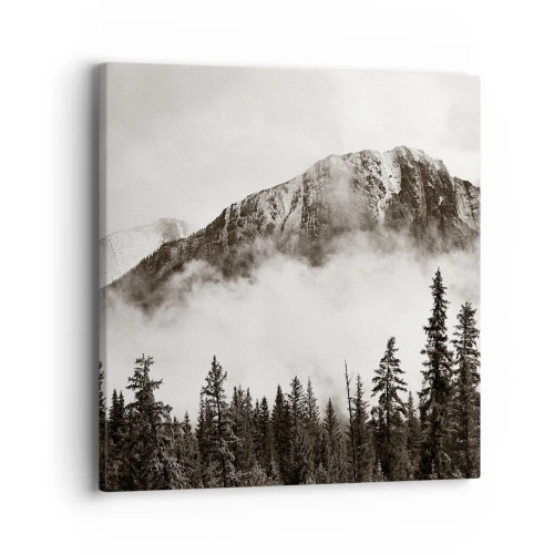 Quadro em tela - O soberano de granito - 40x40 cm