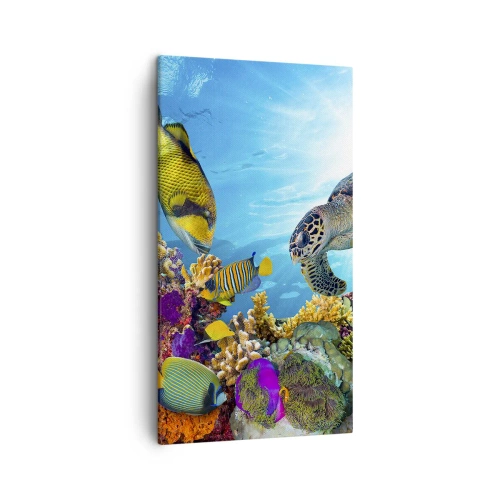 Quadro em tela - Alameda dos corais - 45x80 cm