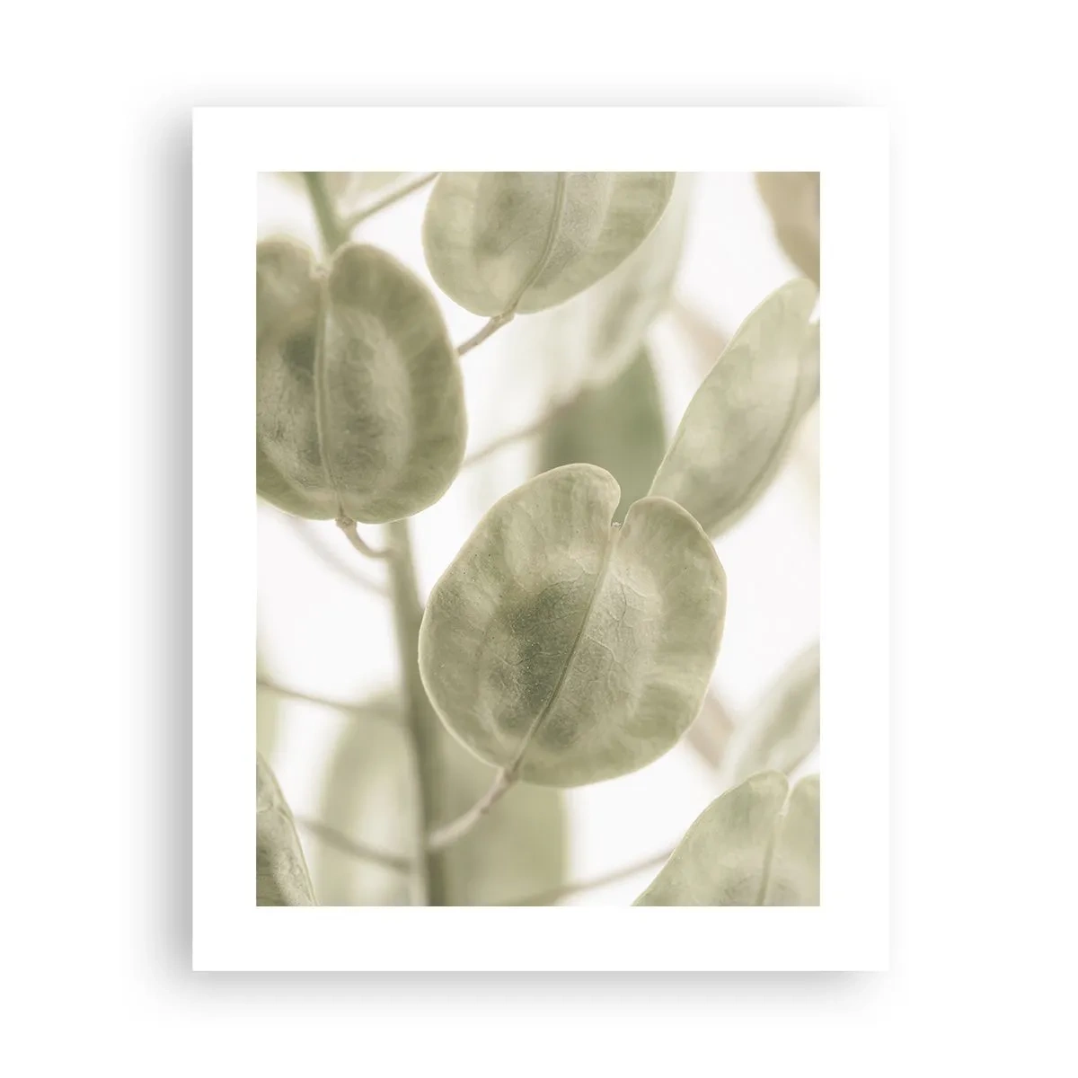 Pôster - No começo eram folhas... - 40x50 cm