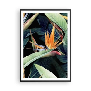 Pôster com moldura preta - Flores ardentes dos trópicos - 70x100 cm