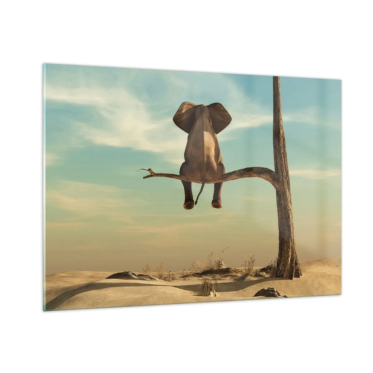 Quadro em vidro - Um novo ponto de vista - 100x70 cm