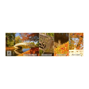 Amostra de Papel de Parede Standard Eco - Na ponte branca dos suspiros - Paisagem, Parque, Ponte de madeira - 100x30 cm