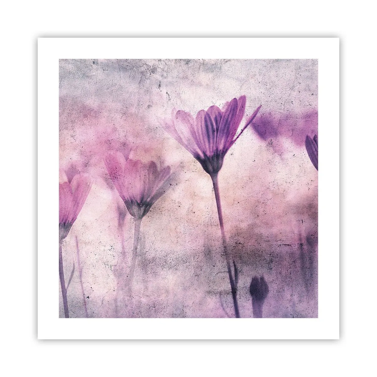 Pôster - Sonho de flores - 50x50 cm