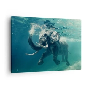 Quadro em tela - Um elefante nadando debaixo d'água nas profundezas turquesas - 70x50cm - Todo mundo gosta de nadar - Decoração de parede moderna para a sala de estar e quarto ARTTOR