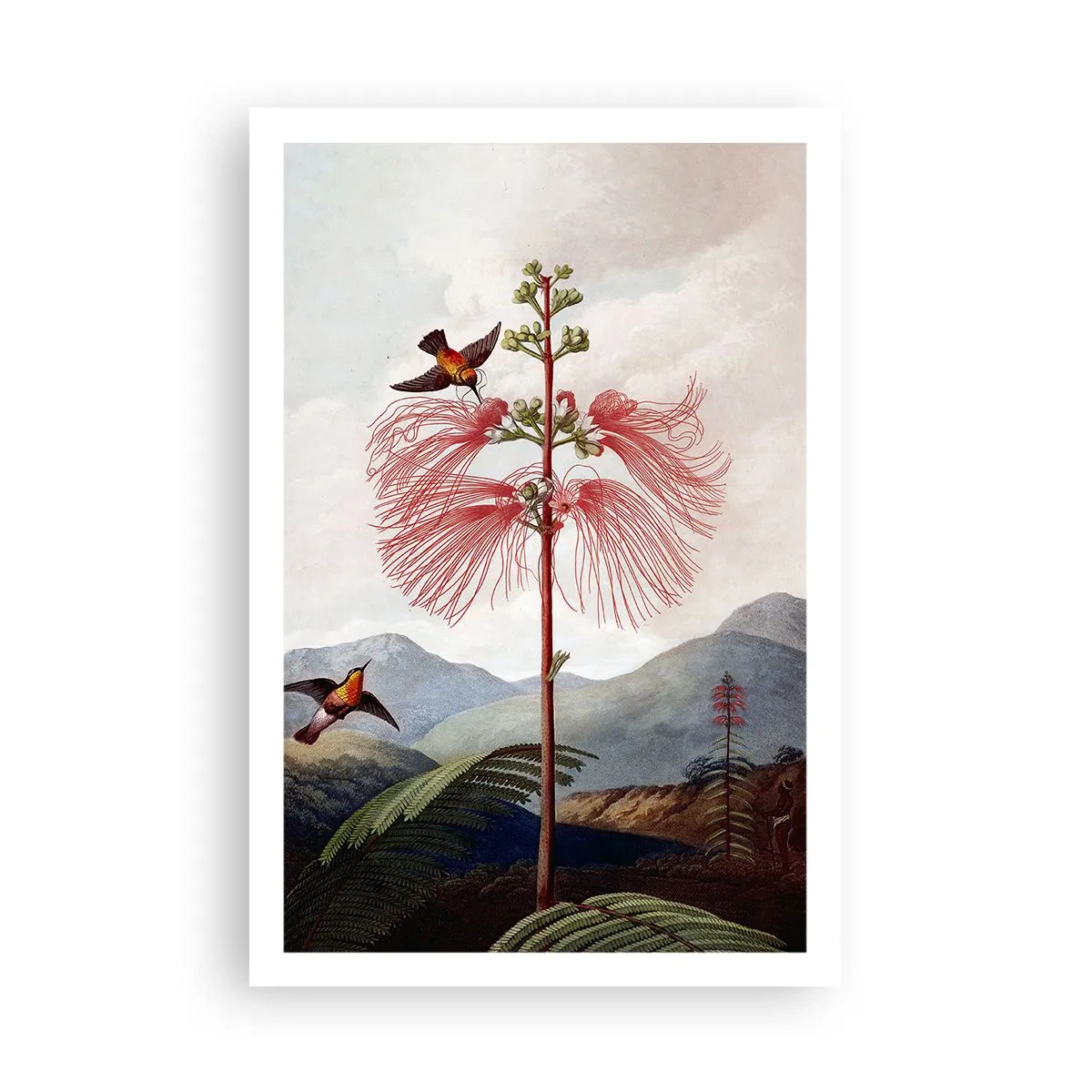 Pôster - Em um paraíso tropical - 61x91 cm