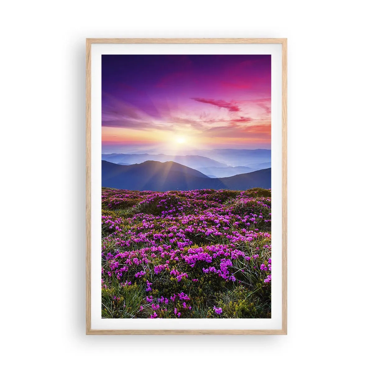 Pôster com moldura de carvalho claro - Campo cheiroso - 61x91 cm
