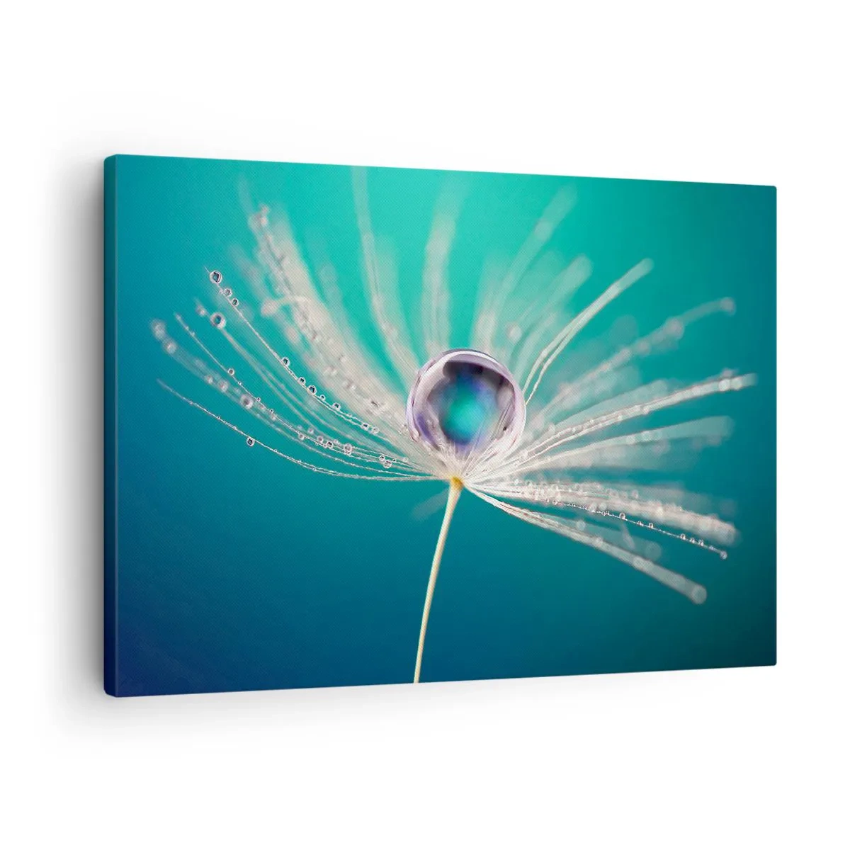 Quadro em tela - Macro de uma gota de água em uma delicada semente de dente-de-leão - 70x50cm - Momento místico - Decoração de parede moderna para a sala de estar e quarto ARTTOR