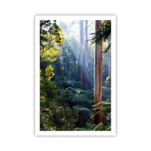 Pôster - Um conto de fadas da floresta - 61x91 cm