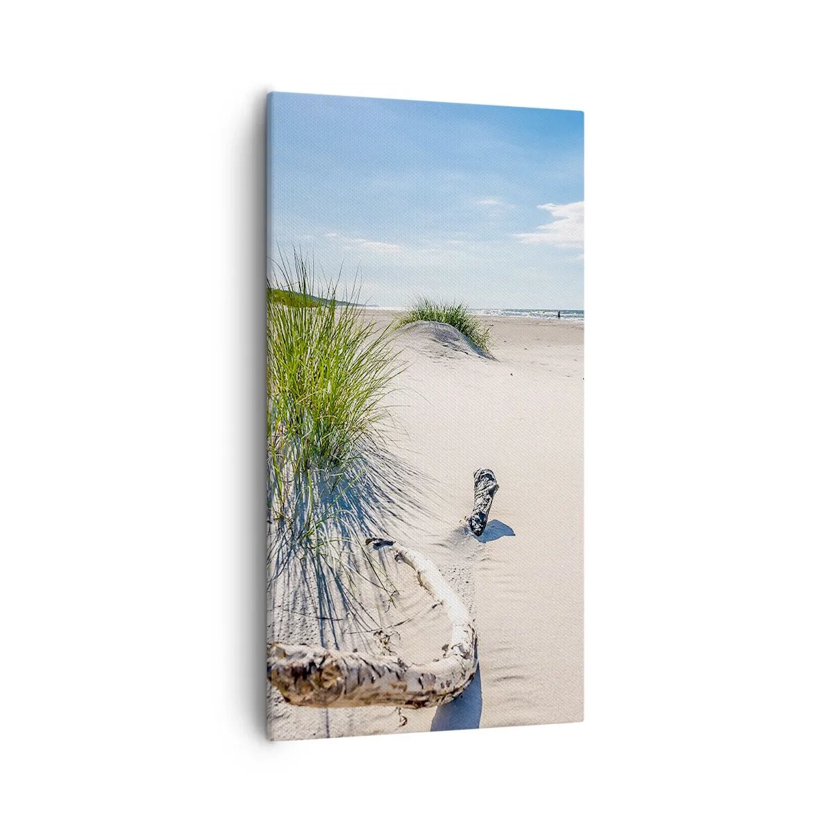 Quadro em tela - A mais bonita? do Báltico - 55x100 cm