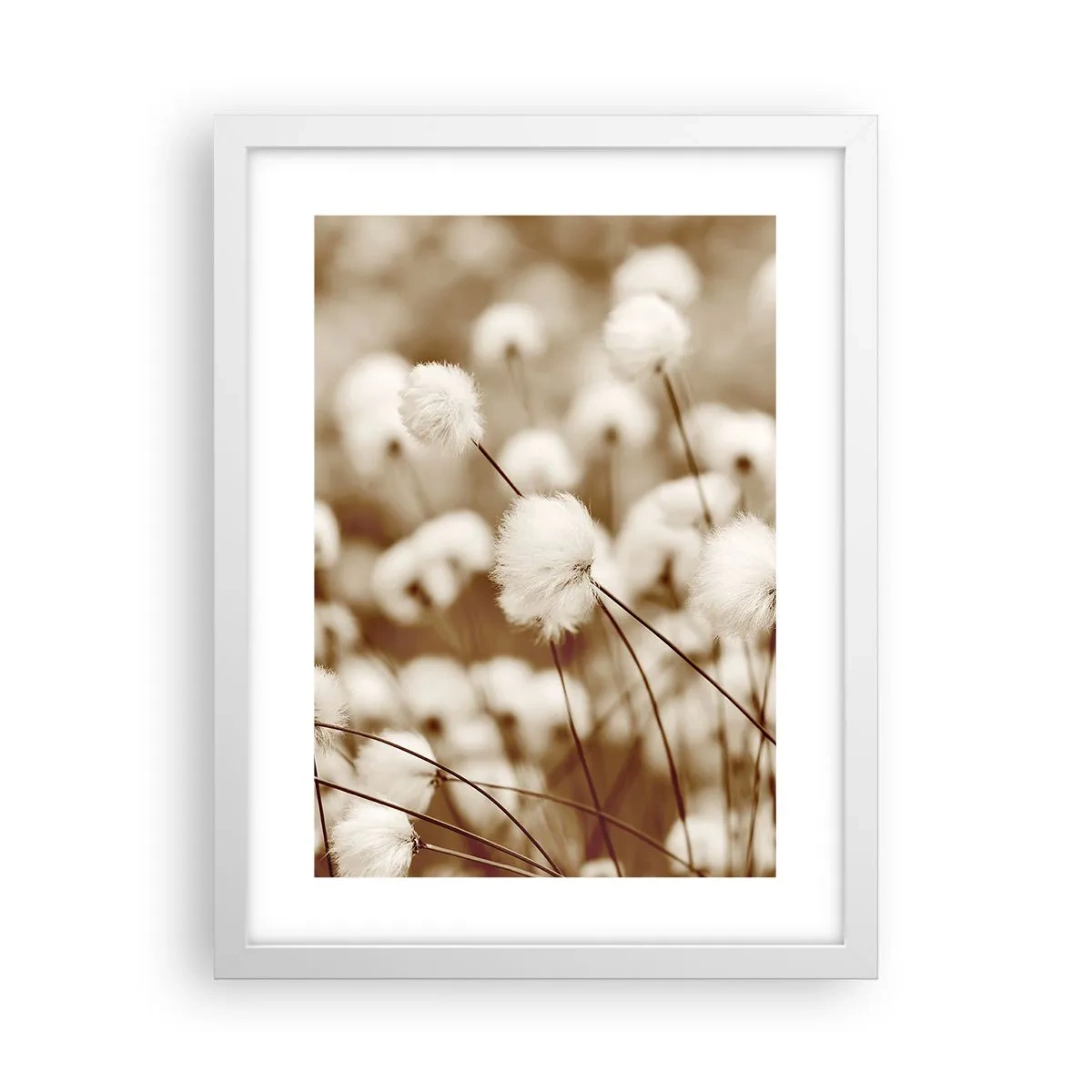 Pôster em moldura branca - Campos felpudos - 30x40 cm