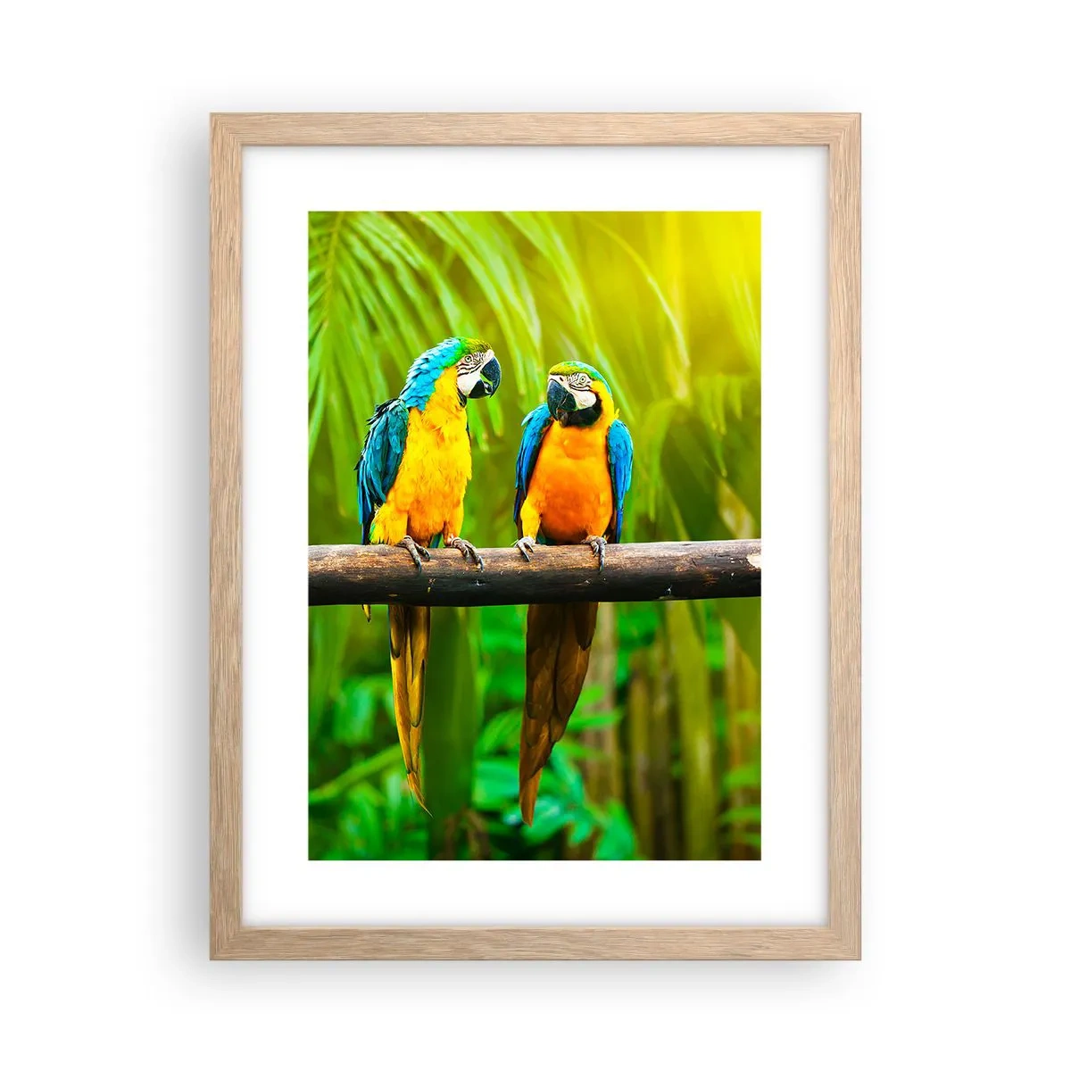 Pôster com moldura de carvalho claro - E ouviste dizer que ela...? - 30x40 cm