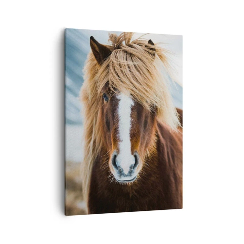 Quadro em tela - Sentes a liberdade? - 50x70 cm