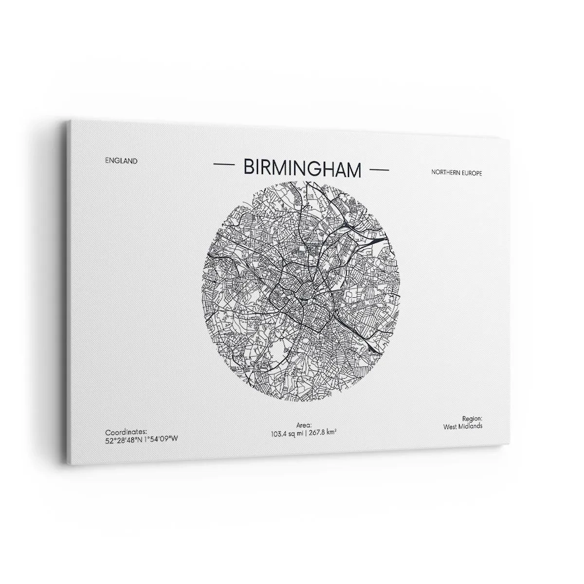 Quadro em tela - Anatomia de Birmingham - 120x80 cm