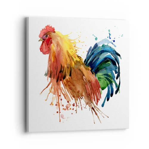 Quadro em tela - Manto real, orgulho real - 30x30 cm