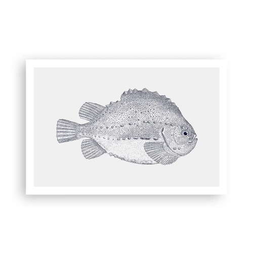 Pôster - Para o álbum do naturalista - 91x61 cm