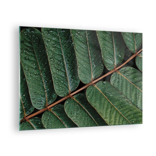 Quadro em vidro - Close-up de folhas verdes com gotas de água - 70x50cm - Num ritmo verde - Decoração de parede moderna para a sala de estar e quarto ARTTOR