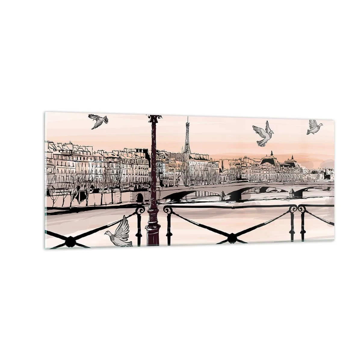 Quadro em vidro - Sobre os telhados de Paris - 100x40 cm