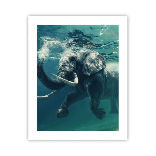 Pôster - Todo mundo gosta de nadar - 40x50 cm