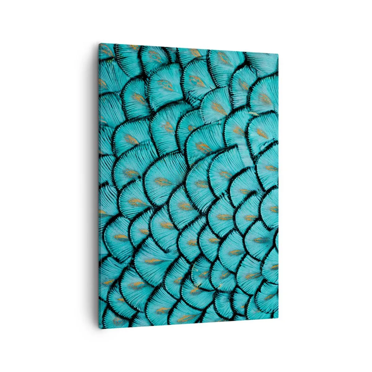 Quadro em tela - A grande gala de penas - 50x70 cm