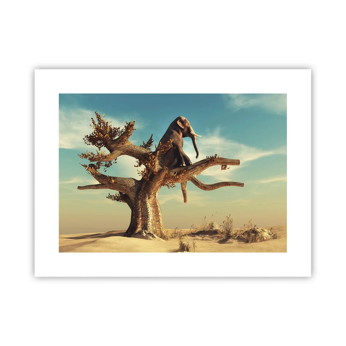 Pôster - Um novo ponto de vista - 40x30 cm