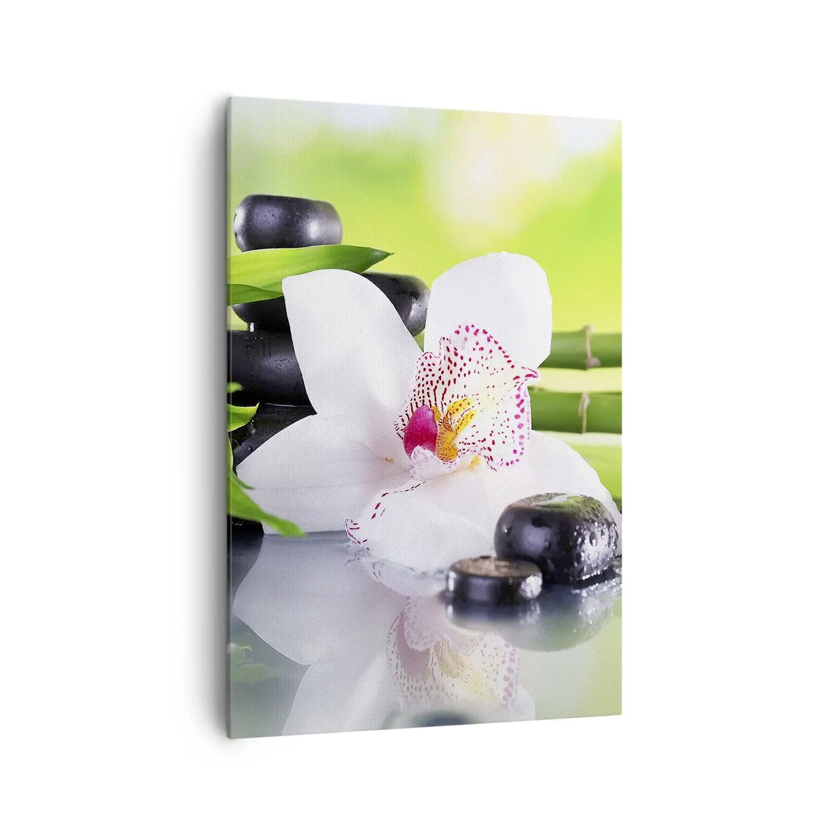 Quadro em tela - Frescor e vigor - 70x100 cm