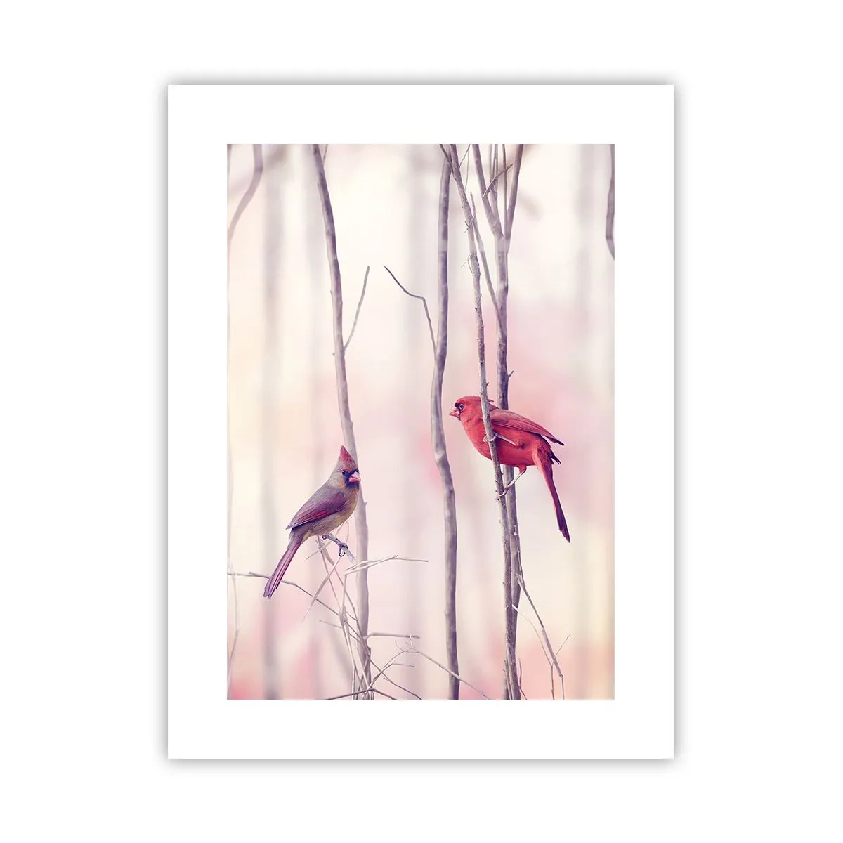 Pôster - O Conto da floresta rosa - 30x40 cm