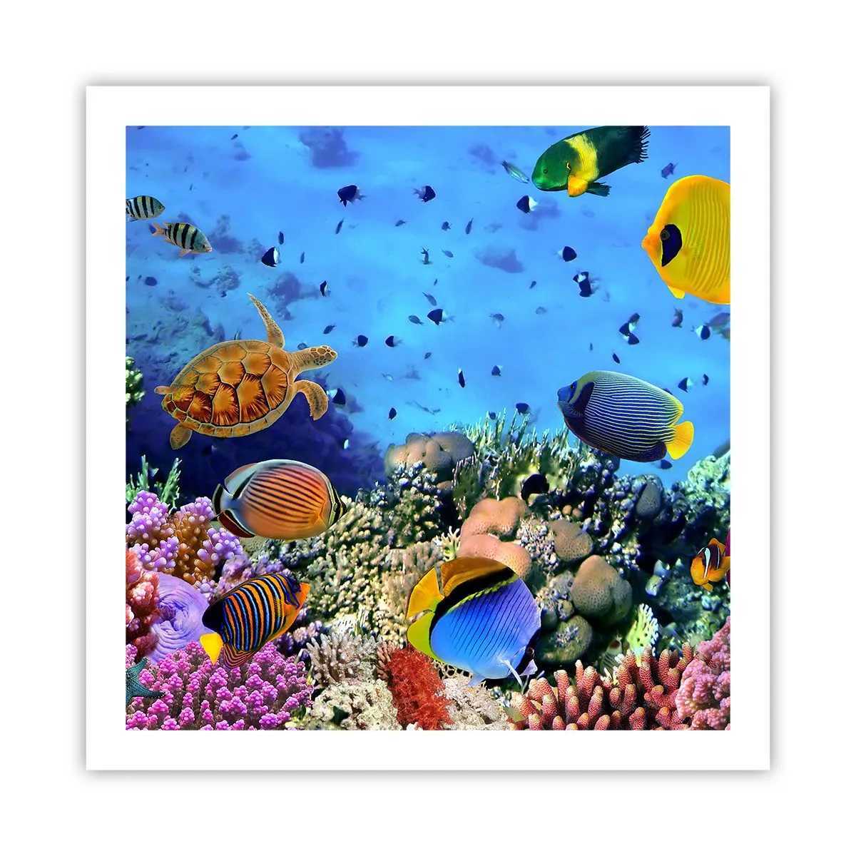 Pôster - E o que sabemos sobre a vida... - 60x60 cm