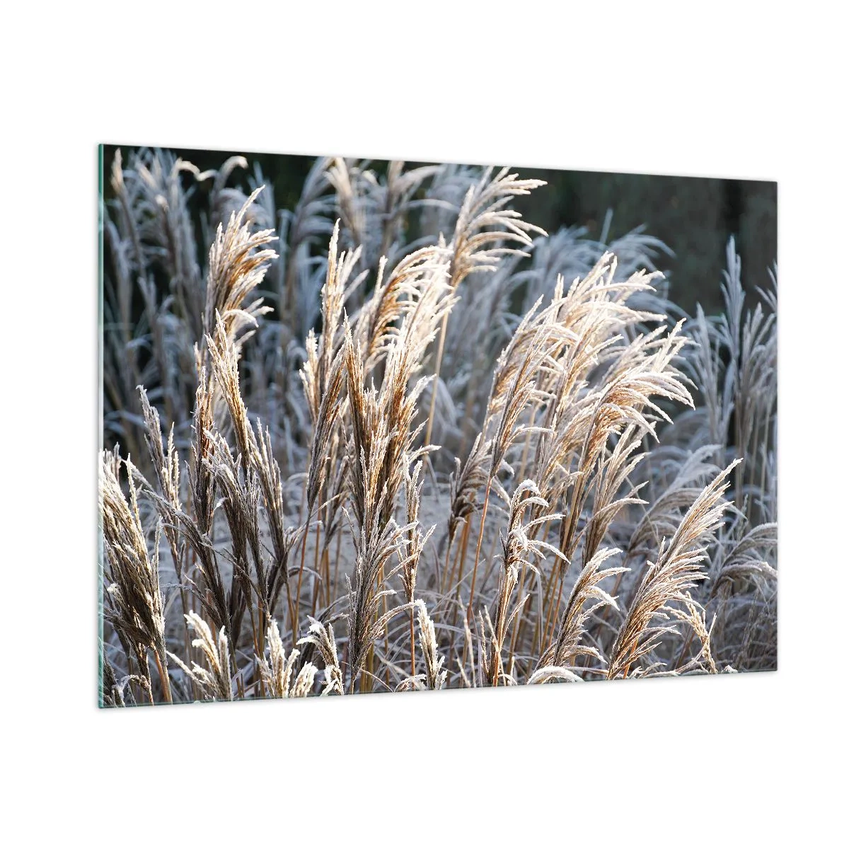 Quadro em vidro - Decorado com a geada - 100x70 cm