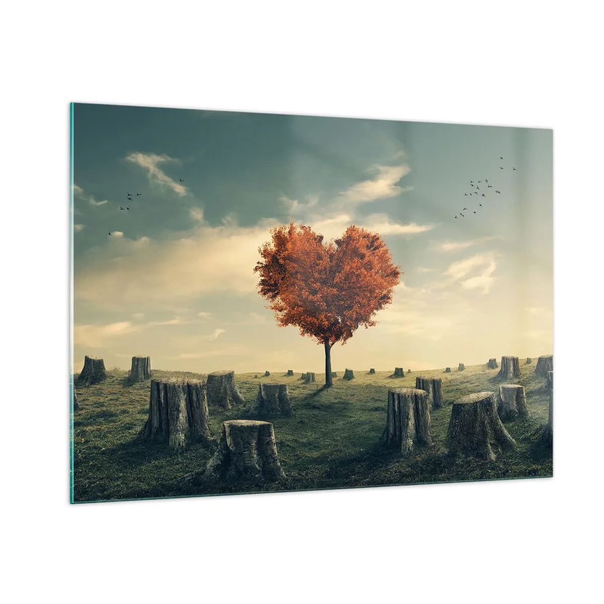 Quadro em vidro - Ainda há esperança - 100x70 cm