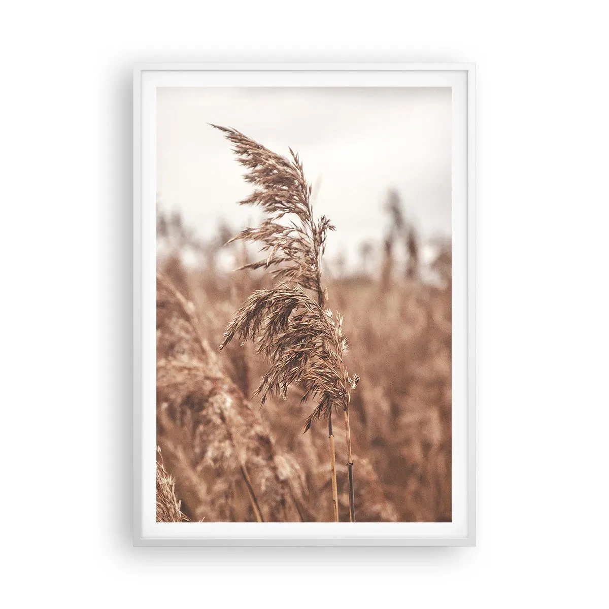 Pôster em moldura branca - O outono já chegou ao campo - 70x100 cm