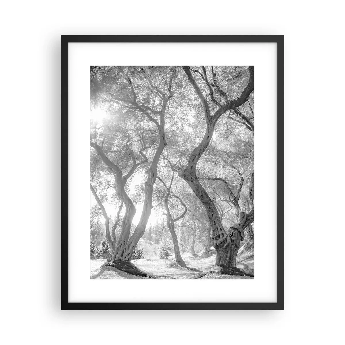 Pôster com moldura preta - No olival - 40x50 cm